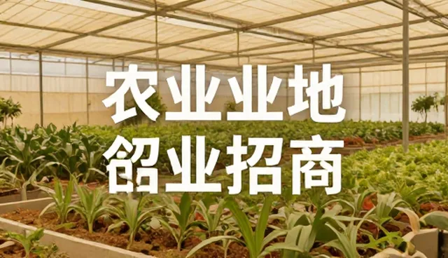 核对清单:招商推广性能与适用条件检查要点